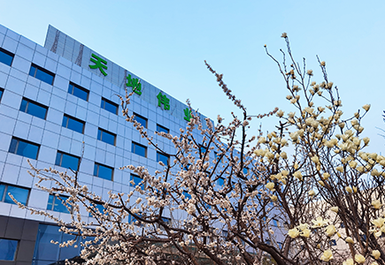 亿万先生mr·(中国区)官方网站