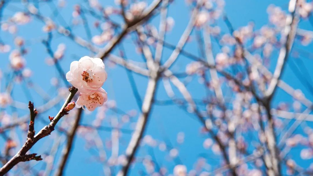 亿万先生mr·(中国区)官方网站