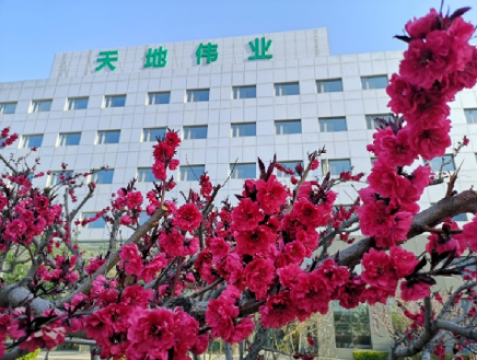 亿万先生mr·(中国区)官方网站