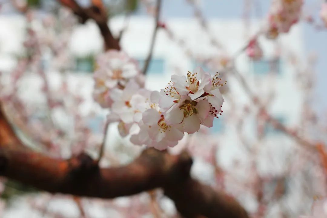 亿万先生mr·(中国区)官方网站